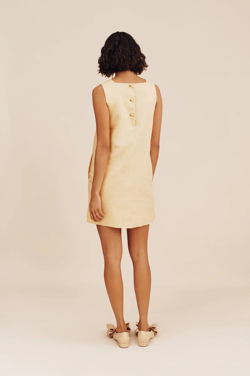 Rio mini dress dusty citron