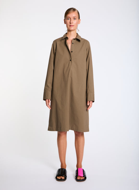 Destiny in olive
