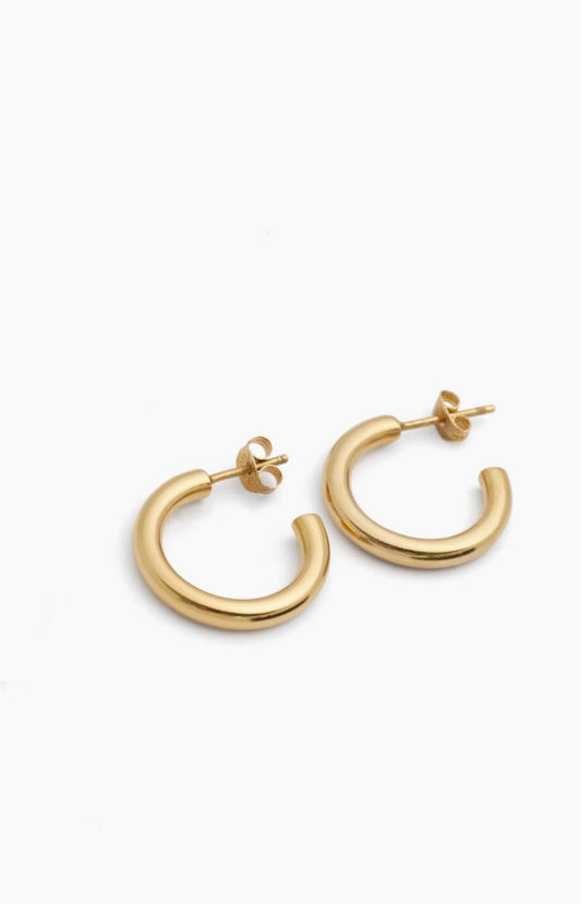 Small gold hoops