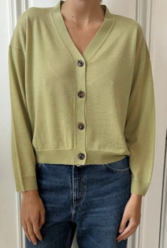 Idem cardigan in sage